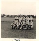 Team Photo 2.jpg (41924 bytes)